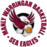 曼利沃海鹰